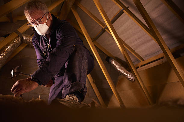 Best Insulation Maintenance and Repair in Mill Plain, CT